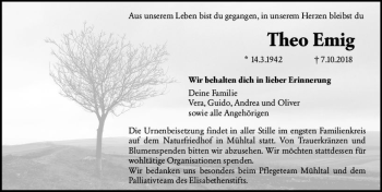 Traueranzeige von Theo Emig von vrm-trauer