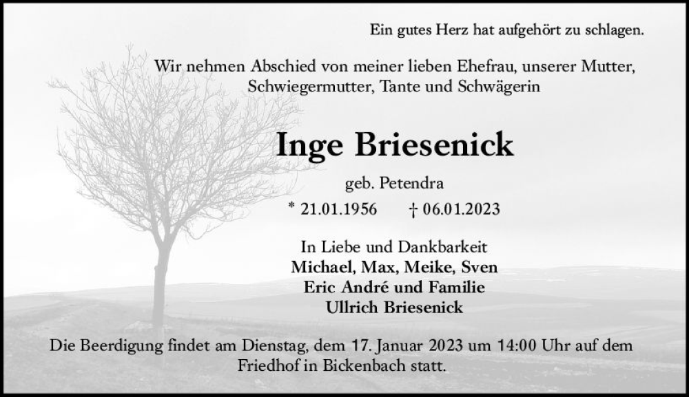  Traueranzeige für Inge Briesenick vom 14.01.2023 aus Darmstädter Echo