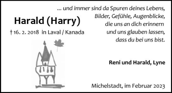 Traueranzeige von Harald  von Odenwälder Echo