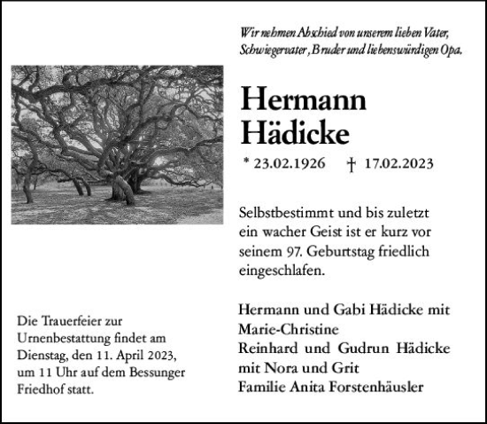 Traueranzeige von Hermann Hädicke von Darmstädter Echo