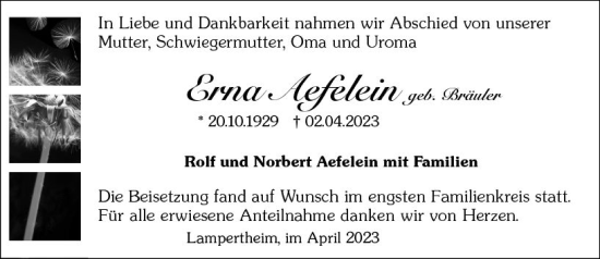 Traueranzeige von Erna Aefelein von Starkenburger Echo