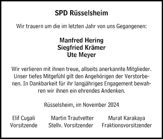 Traueranzeige von Manfred Hering von Südhessen Morgen
