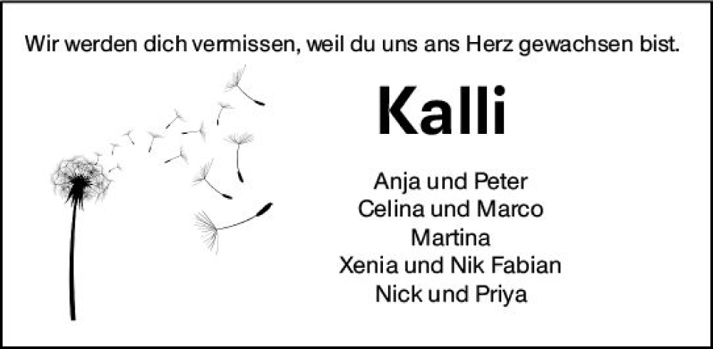  Traueranzeige für Kalli Schulz vom 03.08.2024 aus Darmstädter Echo