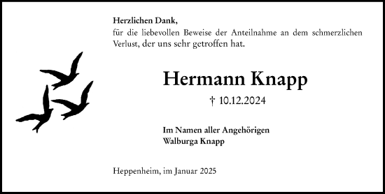 Traueranzeige von Hermann Knapp von Starkenburger Echo