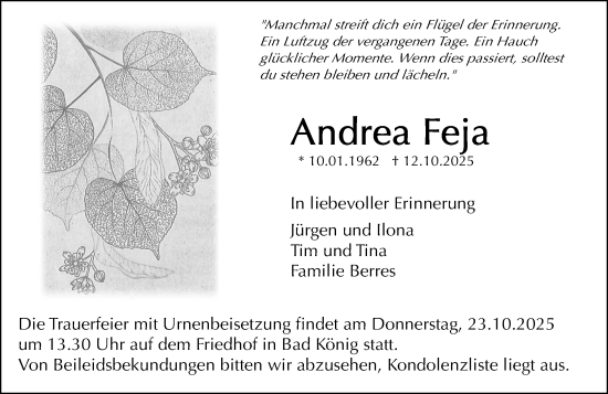 Traueranzeige von Andrea Feja von Odenwälder Echo