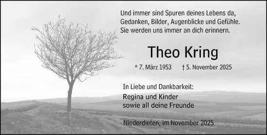 Traueranzeige von Theo Kring von Hinterländer Anzeiger