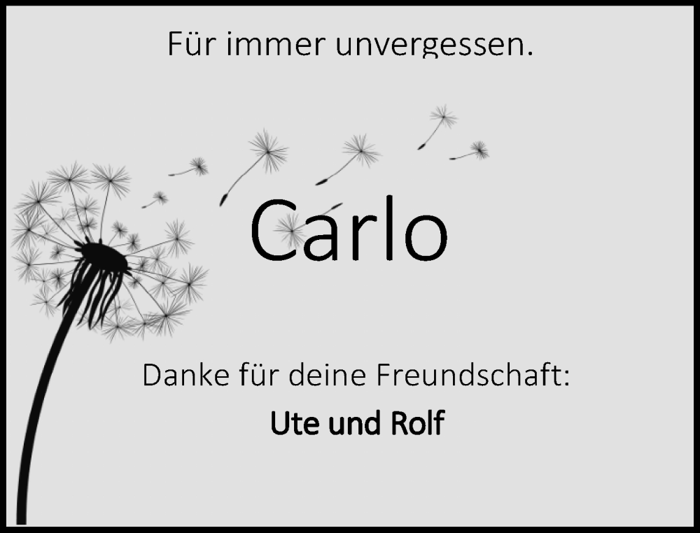  Traueranzeige für Carlo Lovatello vom 15.02.2025 aus Darmstädter Echo