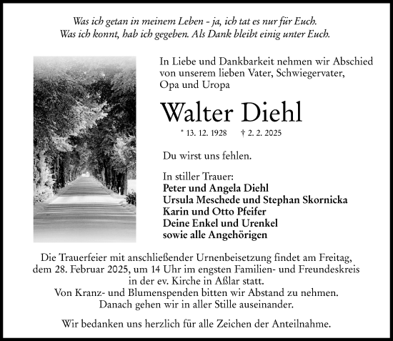 Traueranzeige von Walter Diehl von Wetzlarer Neue Zeitung