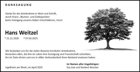 Traueranzeige von Hans Weitzel von Allgemeine Zeitung Rheinhessen-Nahe