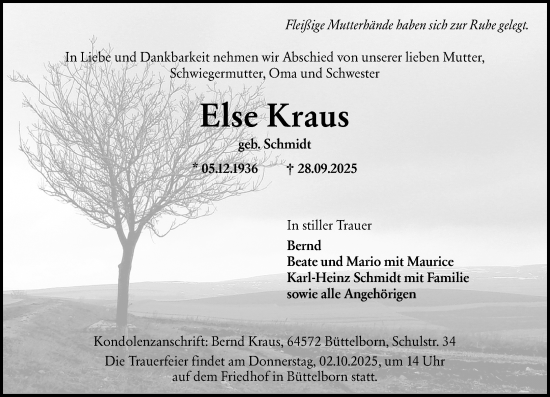 Traueranzeige von Else Kraus von Groß-Gerauer Echo