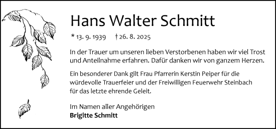 Traueranzeige von Hans Walter Schmitt von Odenwälder Echo