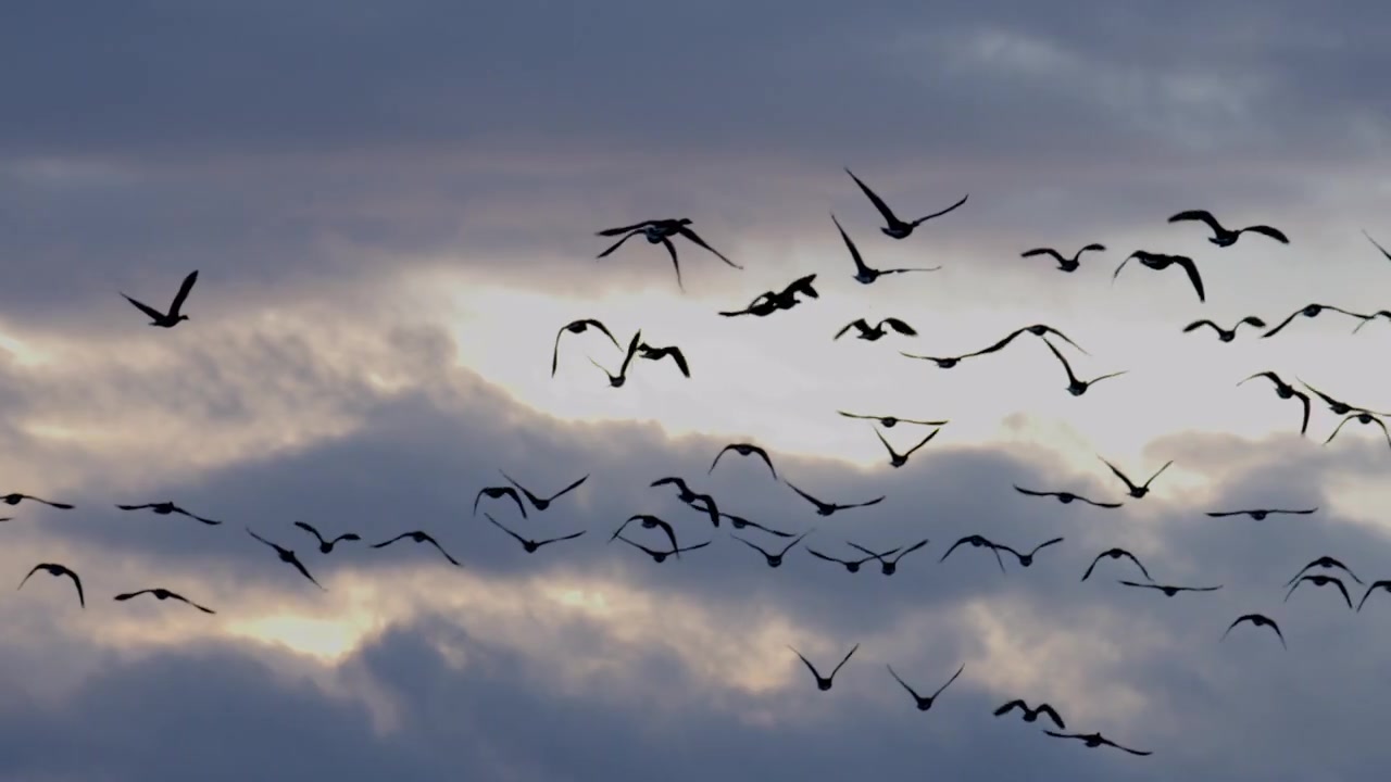 Video zur Traueranzeige 3